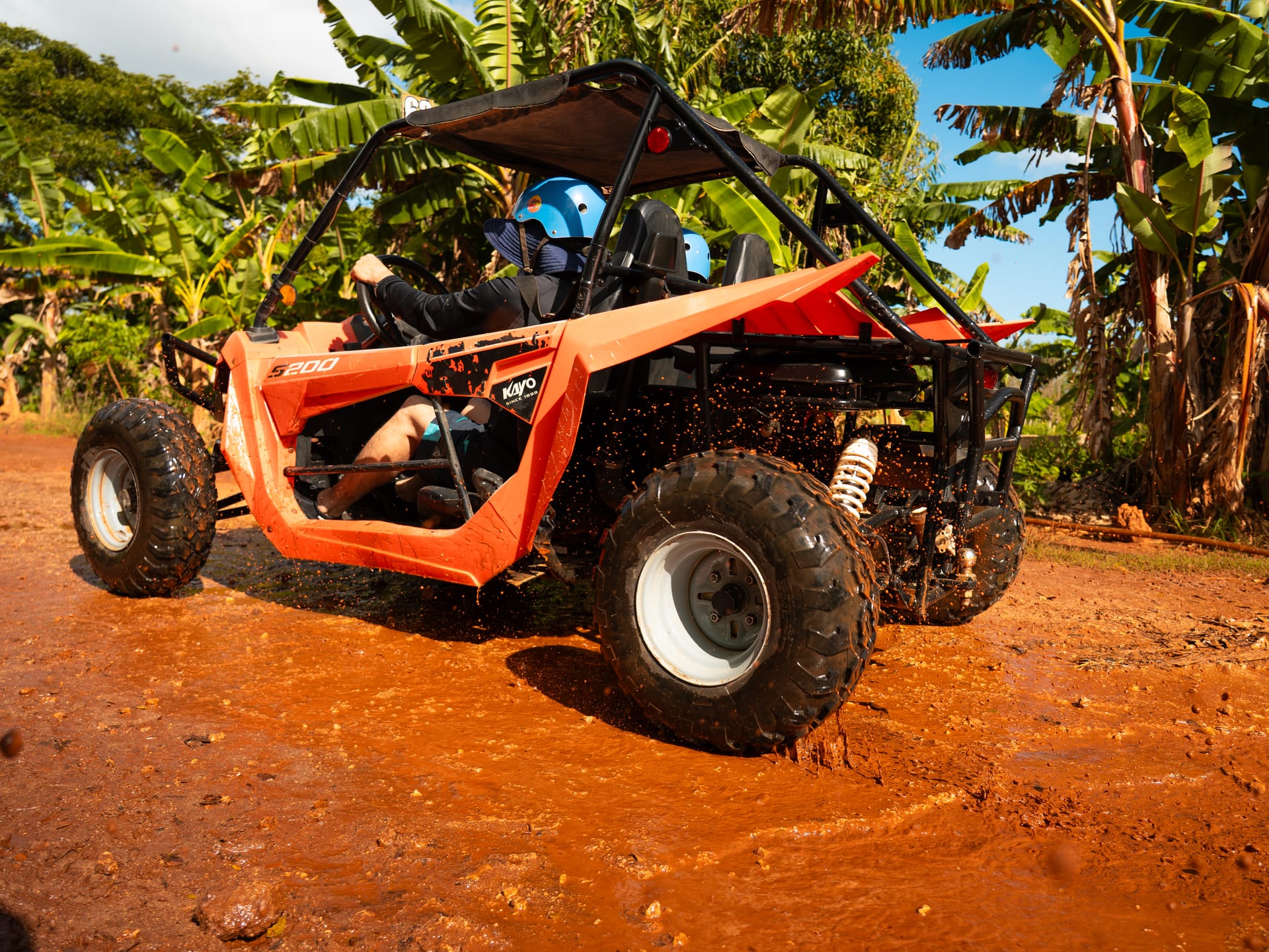 Dune Buggy Adventure photo 3
