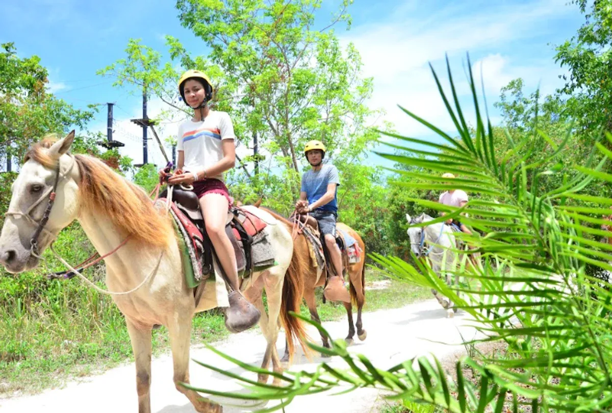 Horseback Riding on the Beach photo 3
