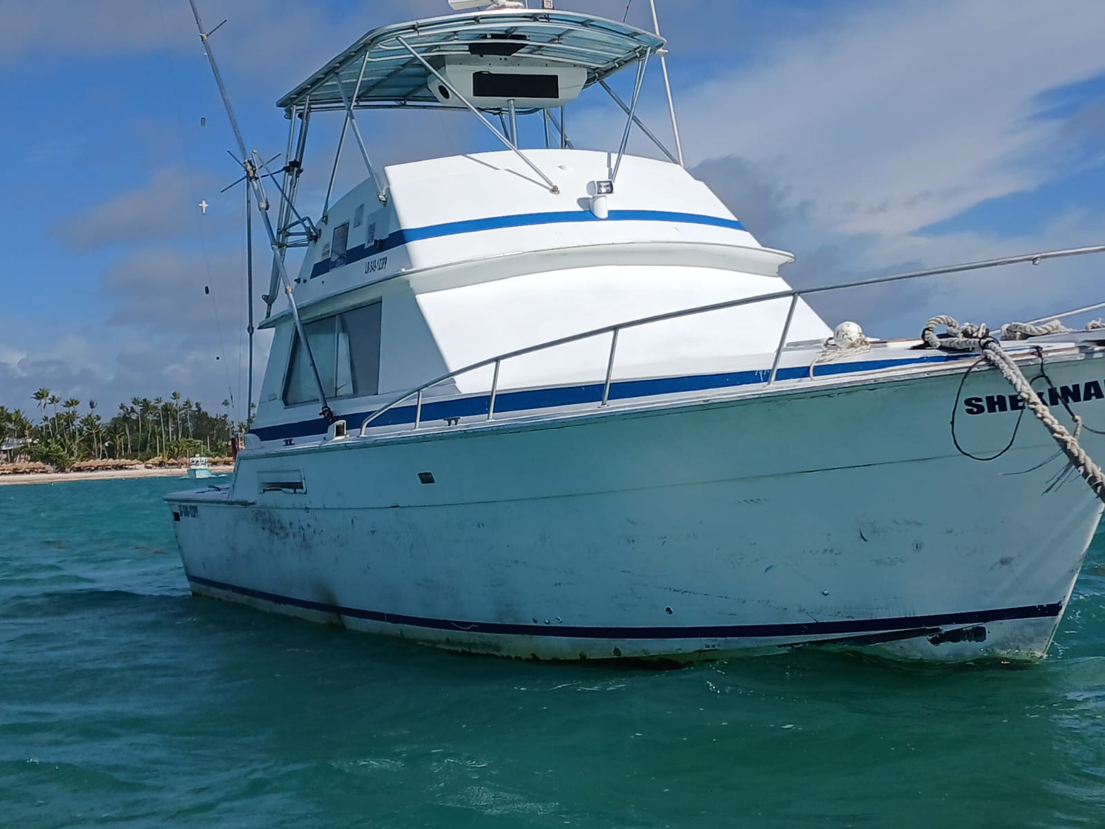 Deep Sea Fishing photo 8