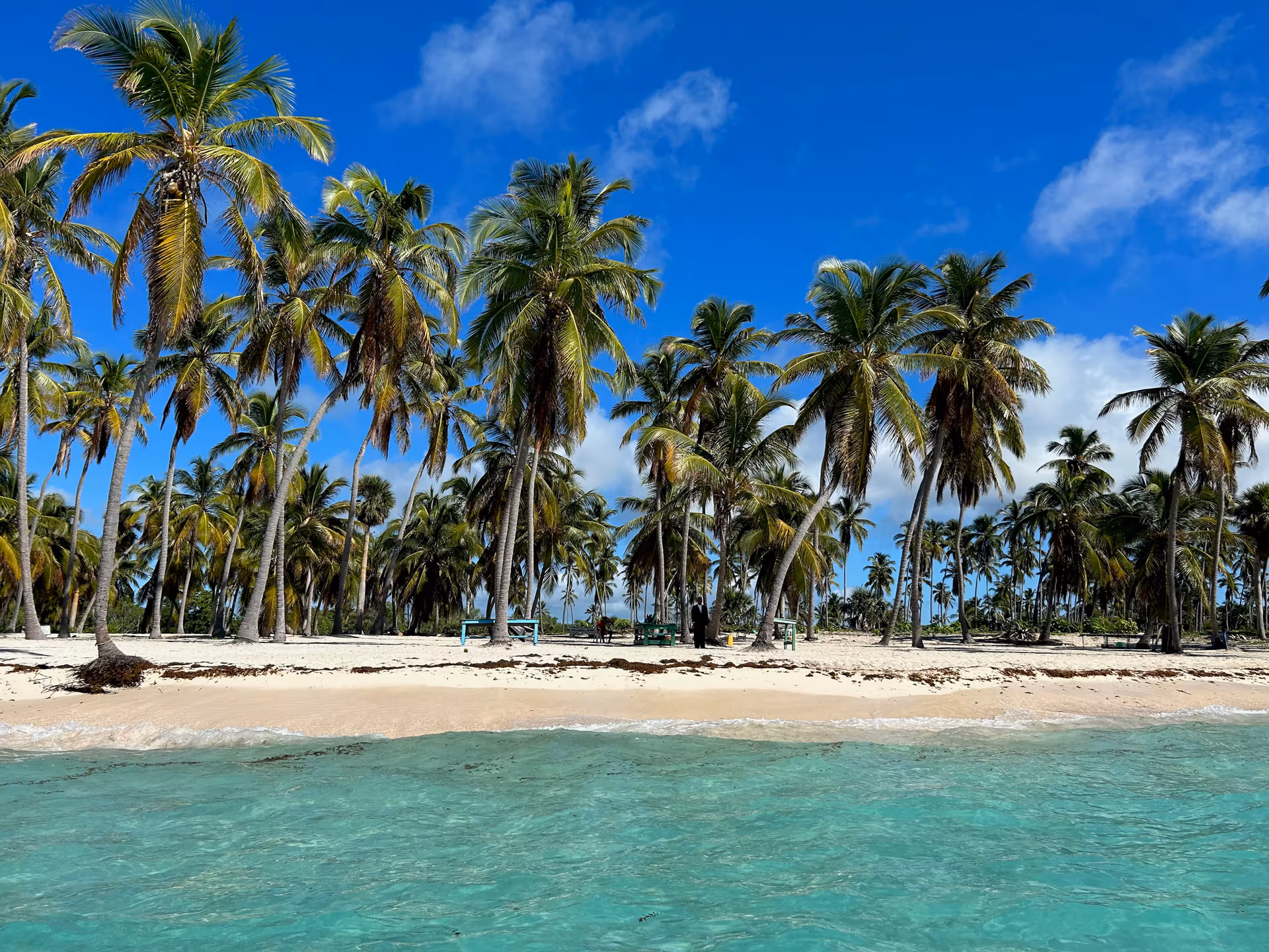 Catamaran to Saona Island photo 3