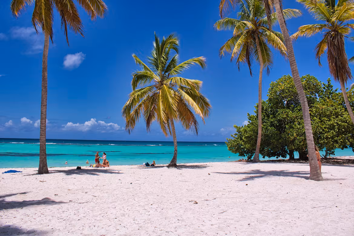 Catamaran to Saona Island photo 4
