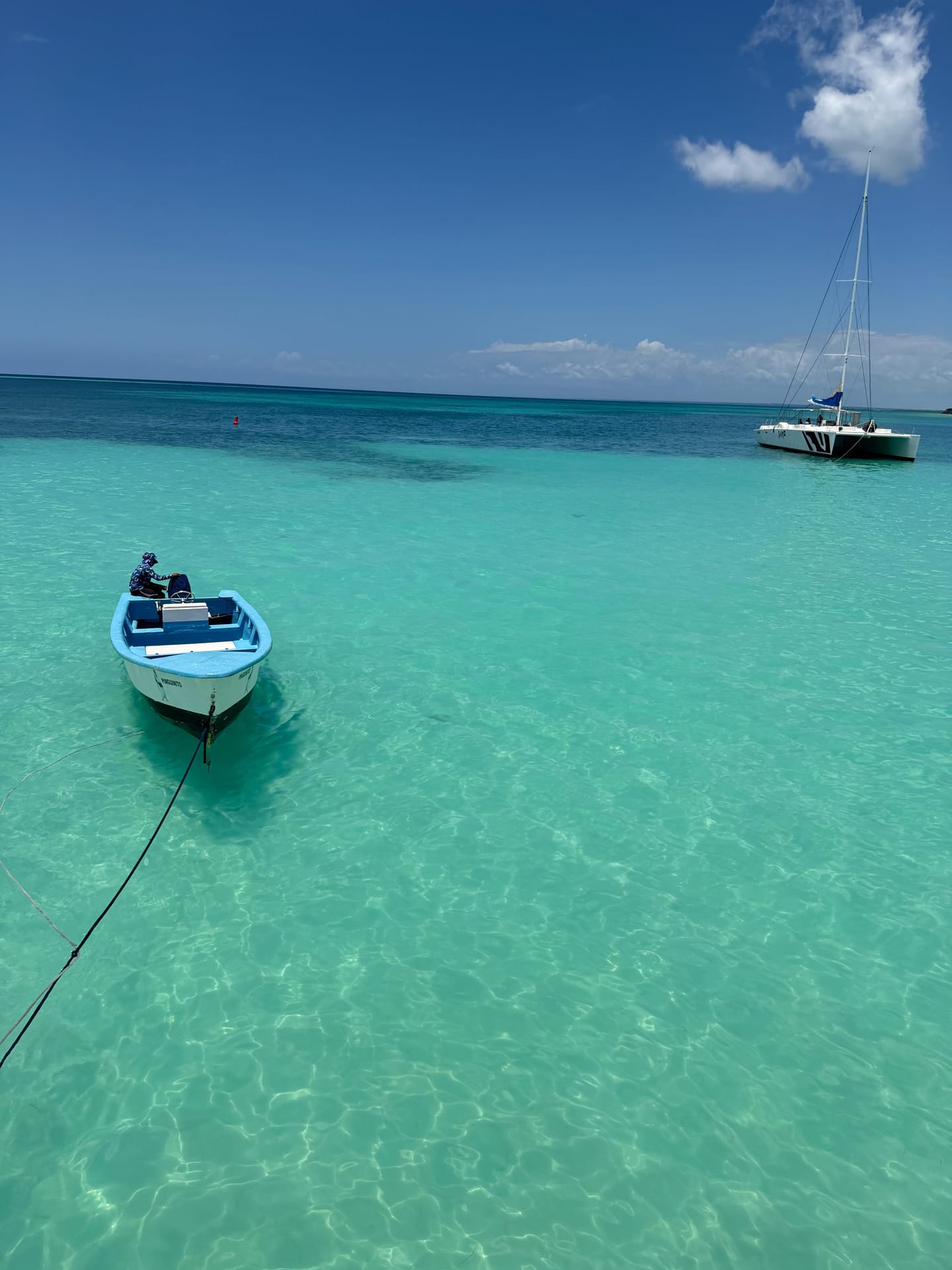 Catamaran to Saona Island photo 8